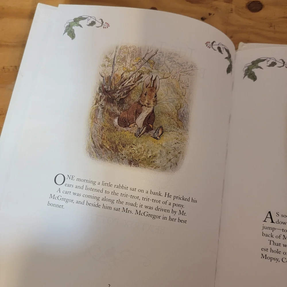 The Tale of Benjamin Bunny and Tom Kitten Books Bt Beatrix Potter Childrens Book